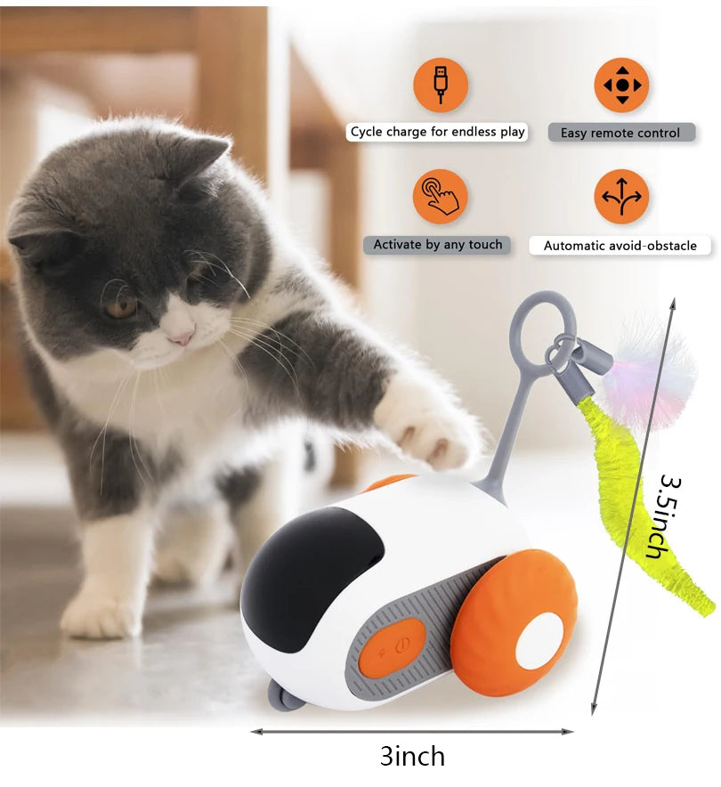 PurrPlay Remote Control Toy