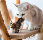 Interactive Flapping Bird Toy