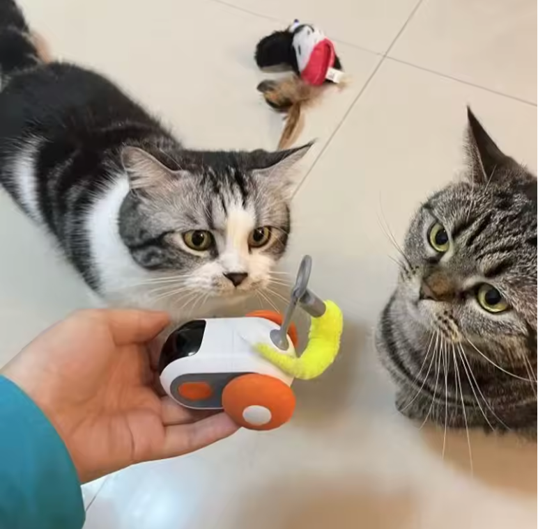 PurrPlay Remote Control Toy