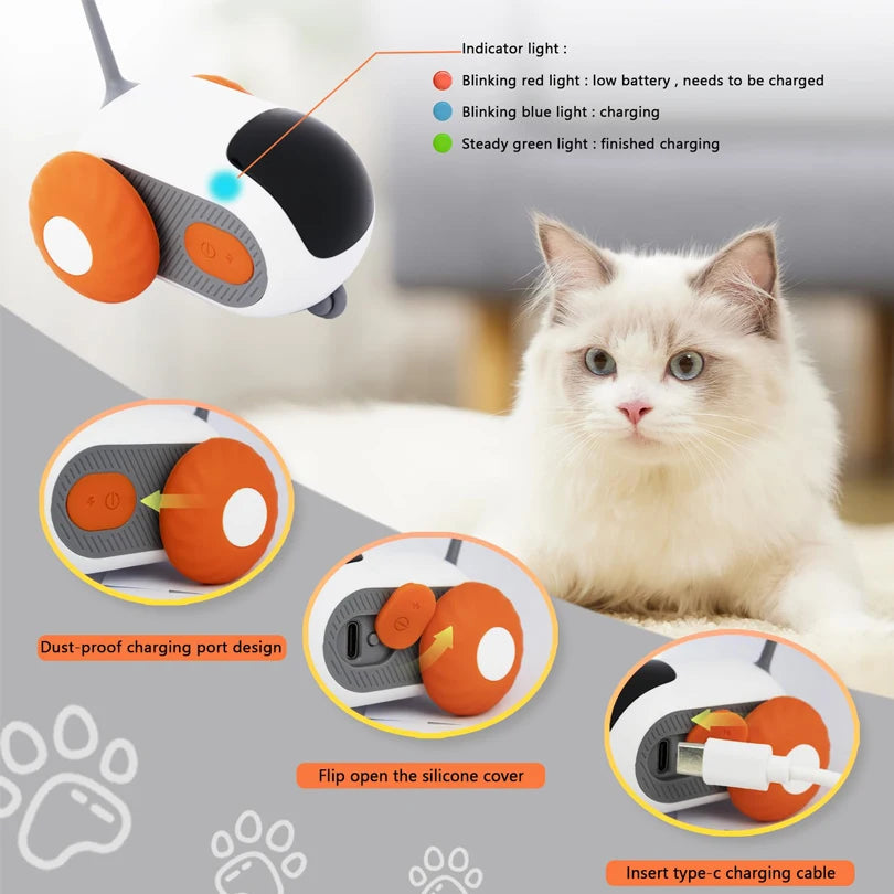 PurrPlay Remote Control Toy