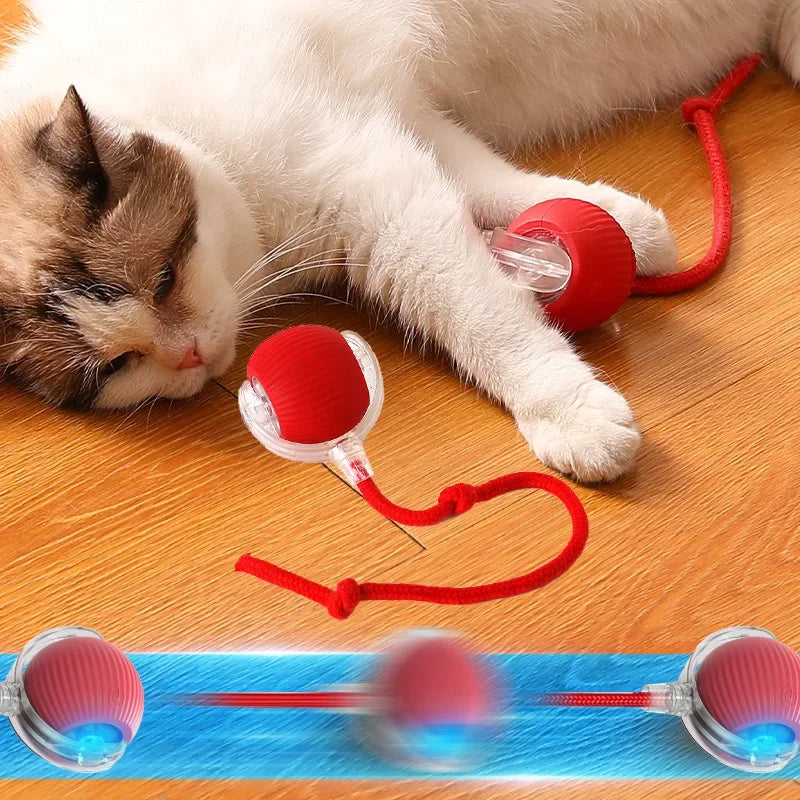 Interactive Purrsuit Ball