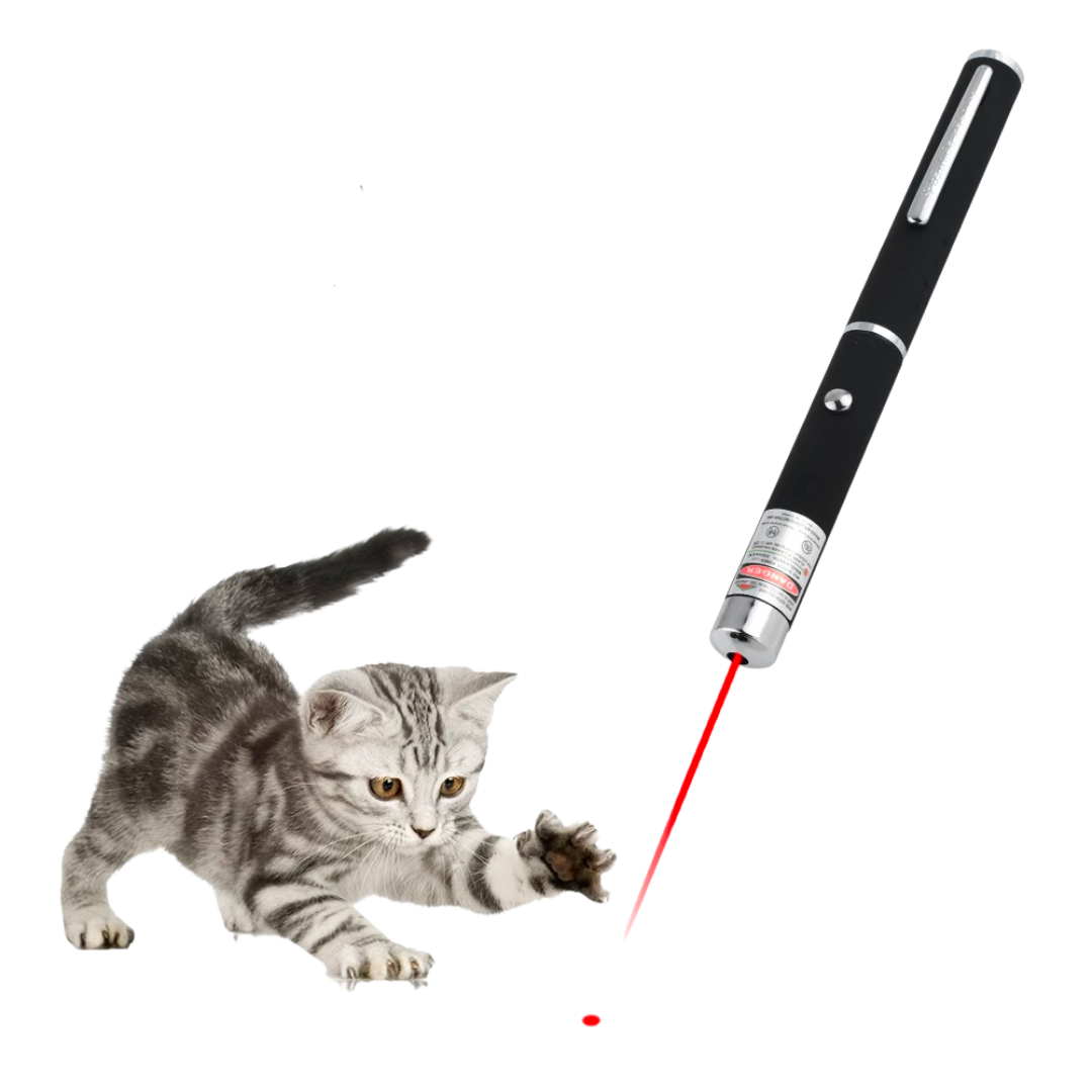 Crazy Cat LED Laser 3 count