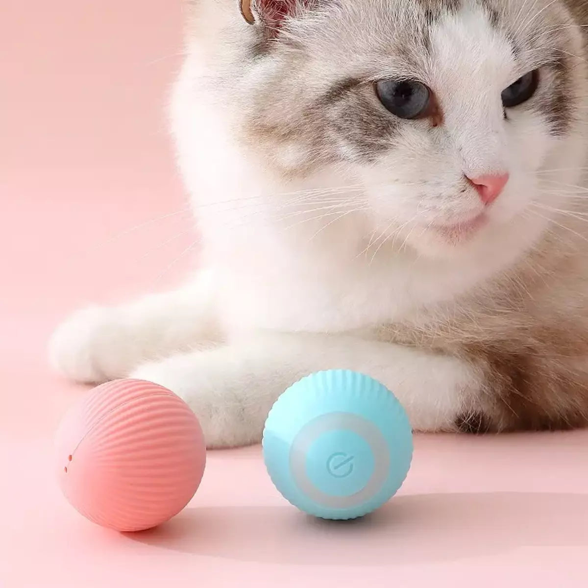 Motion ball shop cat toy